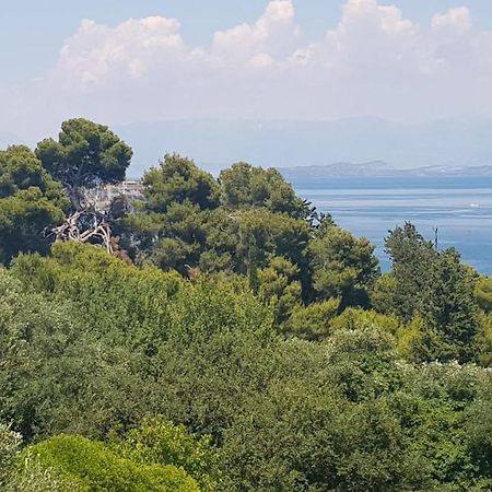 Mon Repos Panorama Appartement Corfu  Buitenkant foto